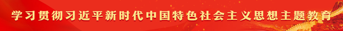 學習貫徹習近平新時代中國特色社會主義思想主題教育